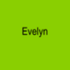 evelyntran841